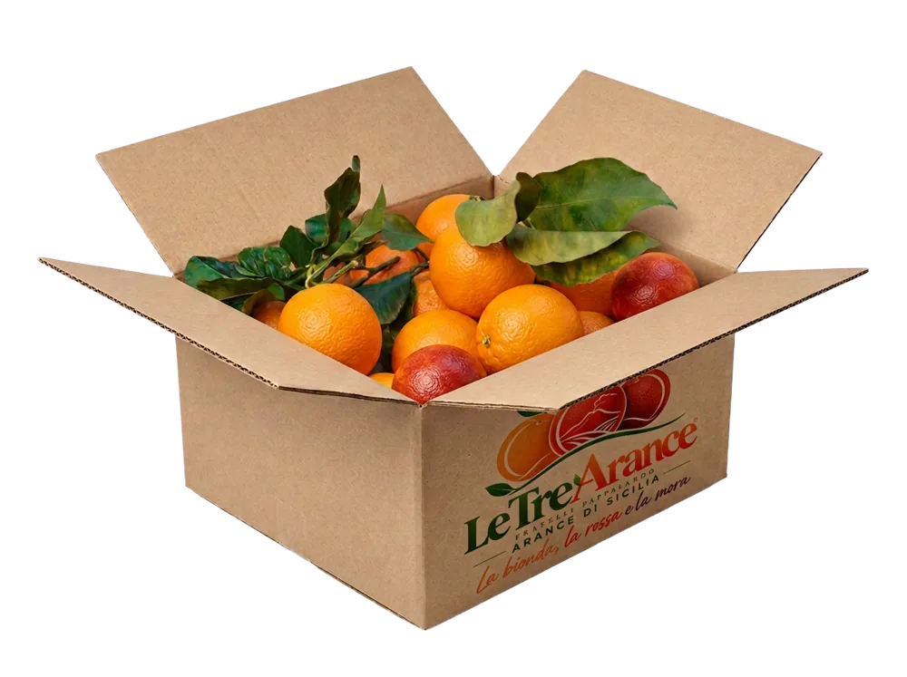 Box aperta con arance e logo Le Tre Arance sul fronte, immagine illustrativa provvisoria